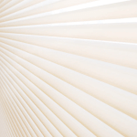 Untitled (1920 x 1080 px) (3) 1